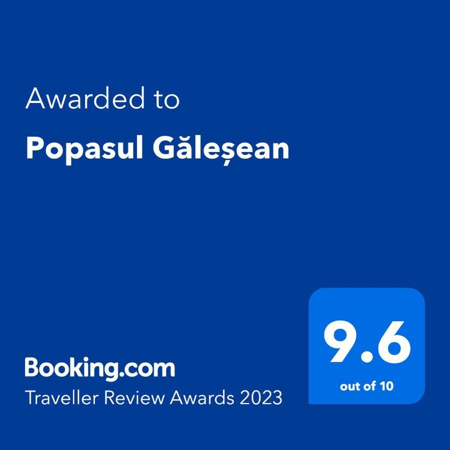 Готель Popasul Galesean Galesu Екстер'єр фото